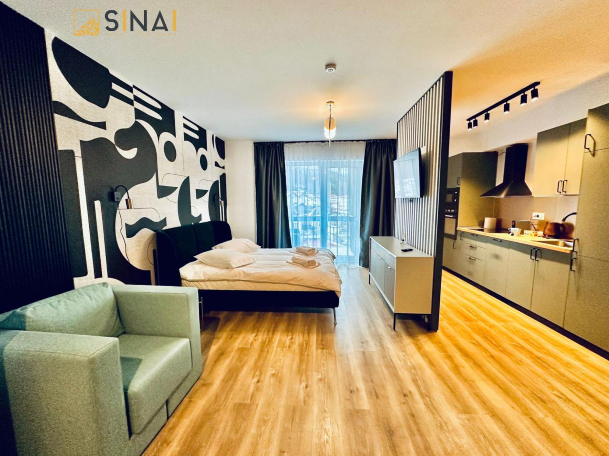Sinai Aph Apartments 시나이아 외부 사진