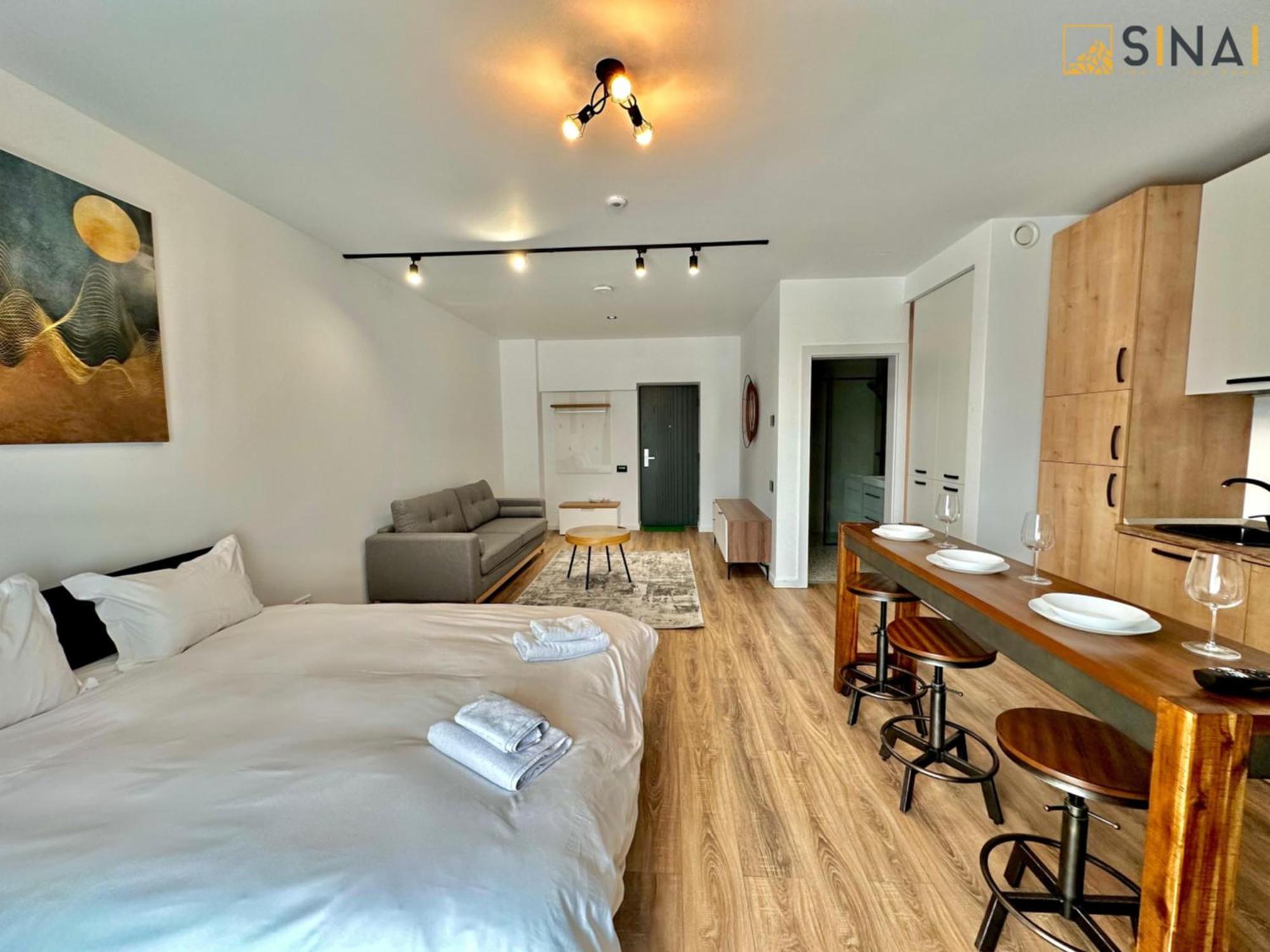 Sinai Aph Apartments 시나이아 외부 사진