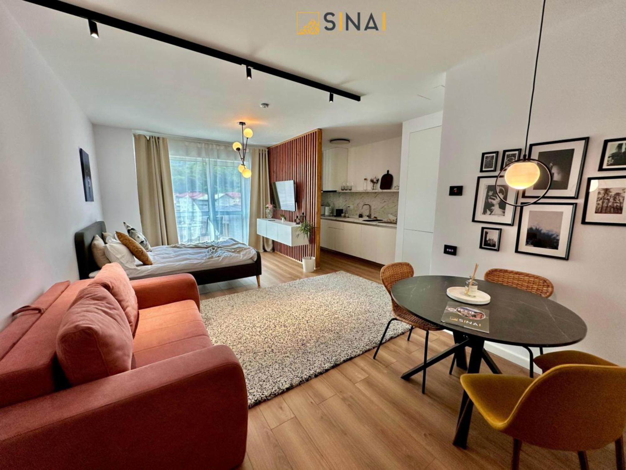 Sinai Aph Apartments 시나이아 외부 사진