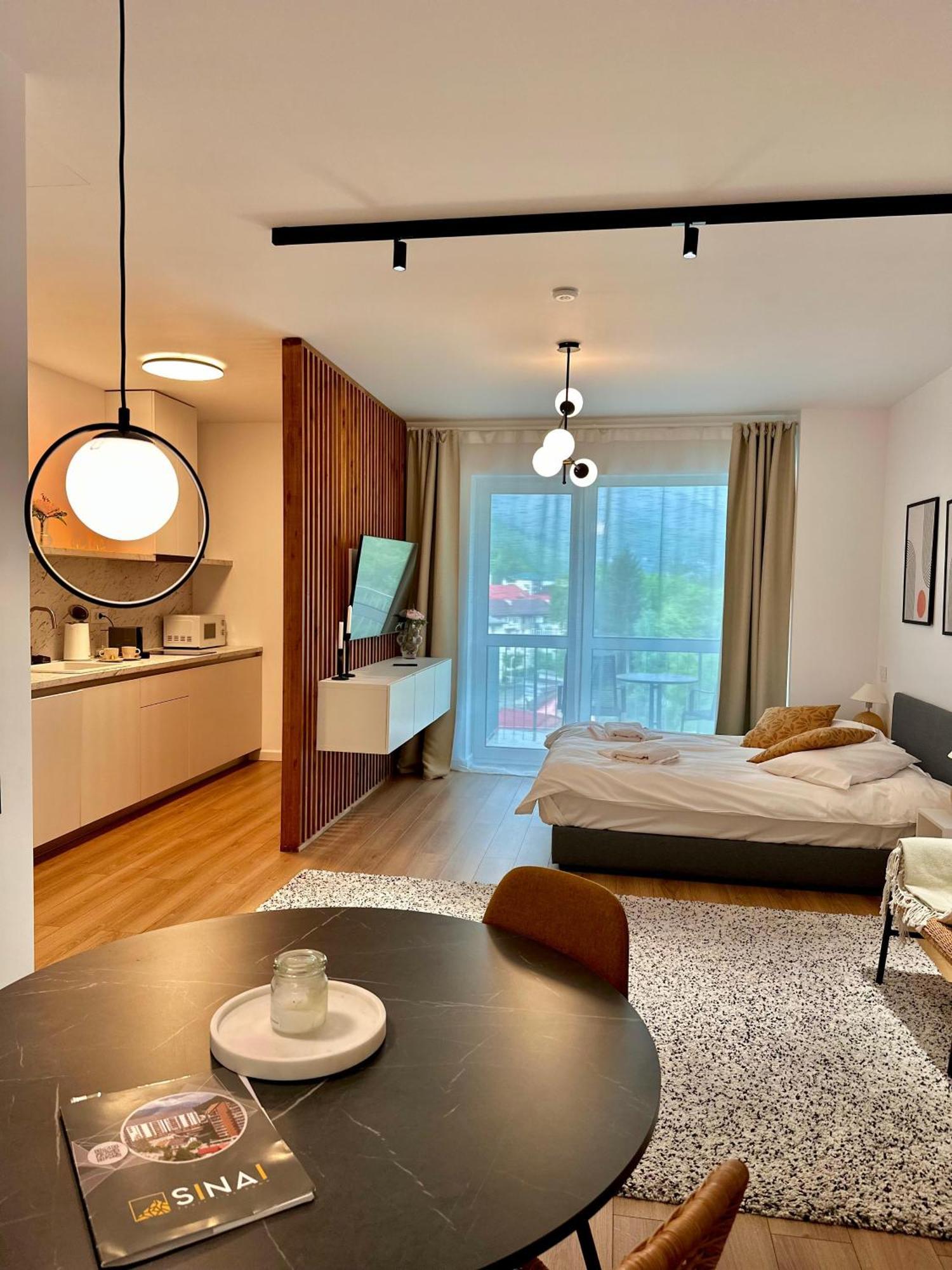 Sinai Aph Apartments 시나이아 외부 사진