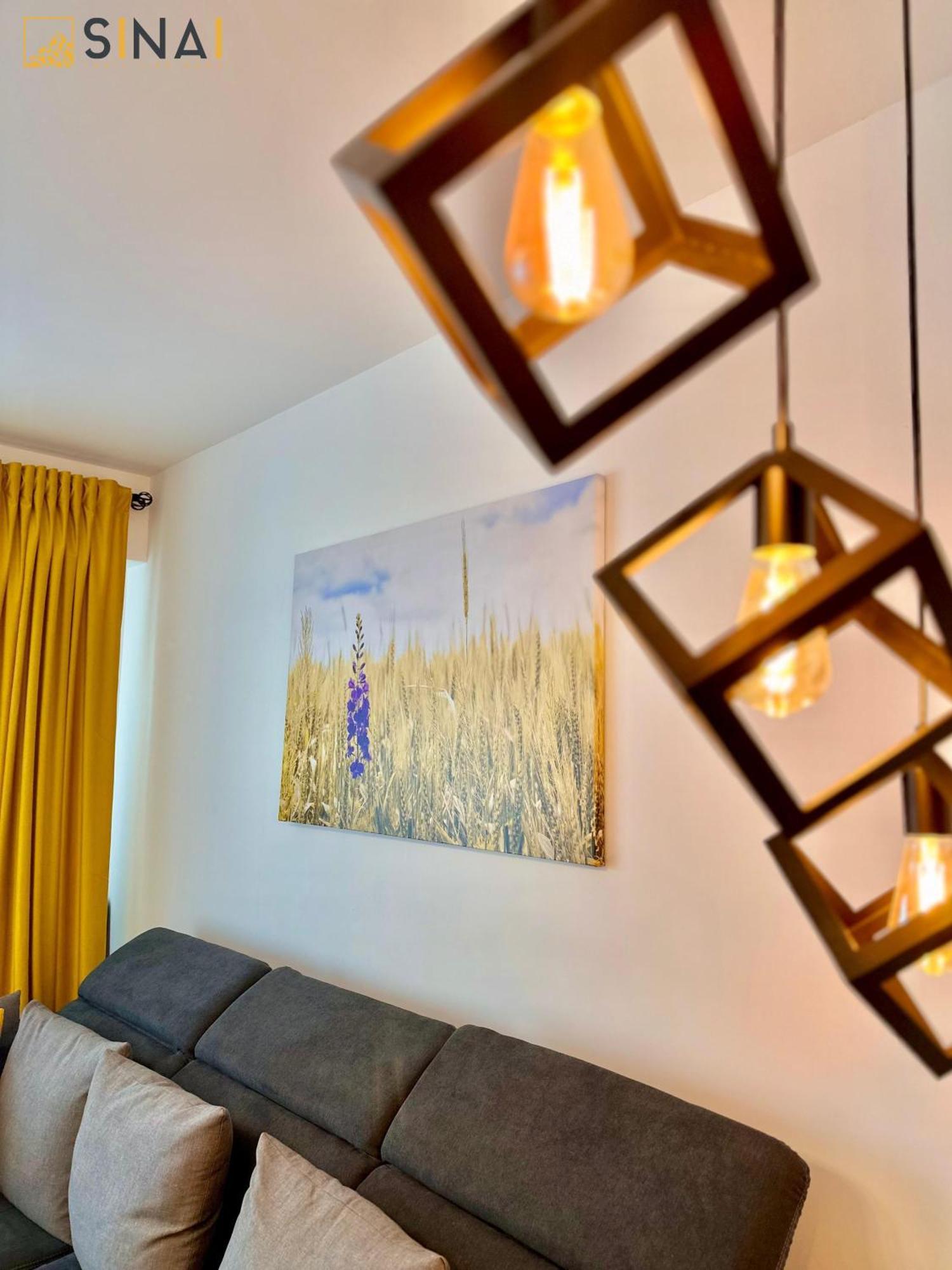 Sinai Aph Apartments 시나이아 외부 사진