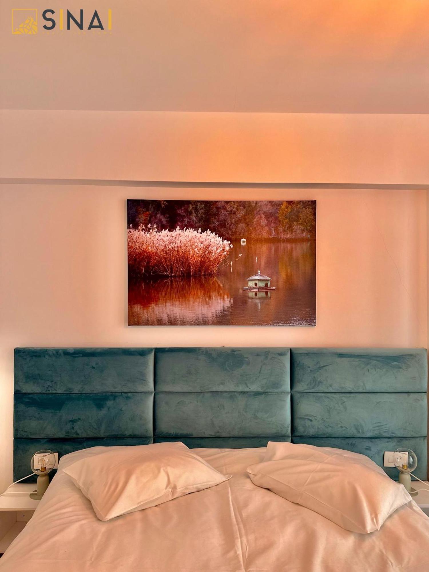 Sinai Aph Apartments 시나이아 외부 사진