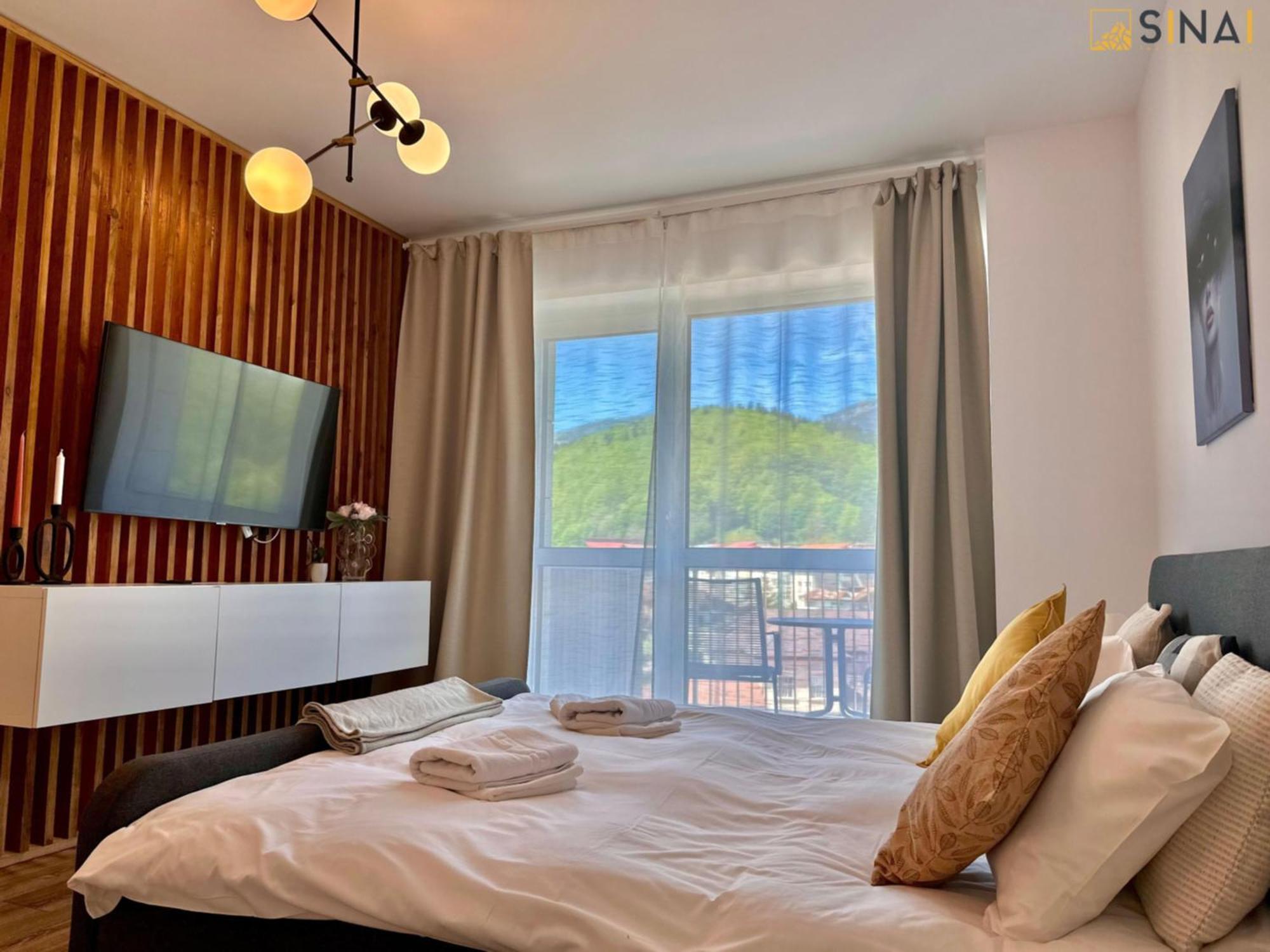 Sinai Aph Apartments 시나이아 외부 사진